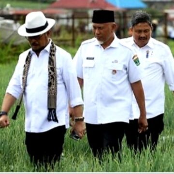 Screenshot_2023-06-15-12-53-31-43_439a3fec0400f8974d35eed09a31f914